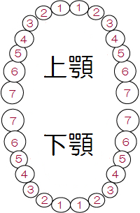 インプラント治療のお見積り