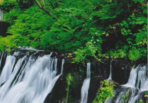 軽井沢の白糸の滝 (2)